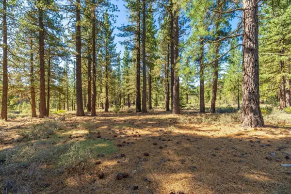10551 Brickell Court, Truckee, CA 96161