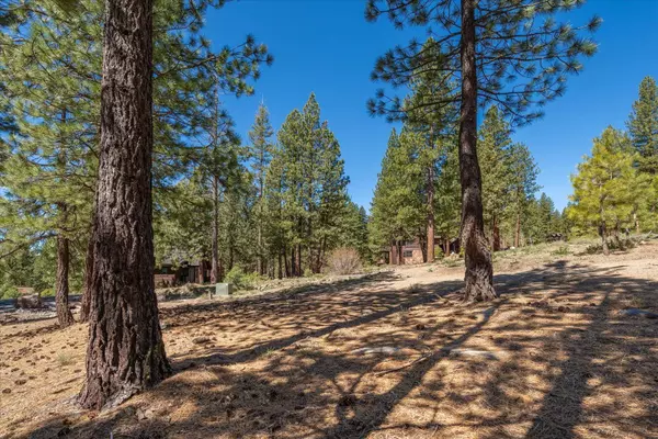11555 China Camp Road, Truckee, CA 96161