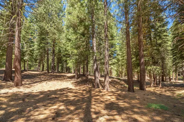 11274 China Camp Road, Truckee, CA 96161