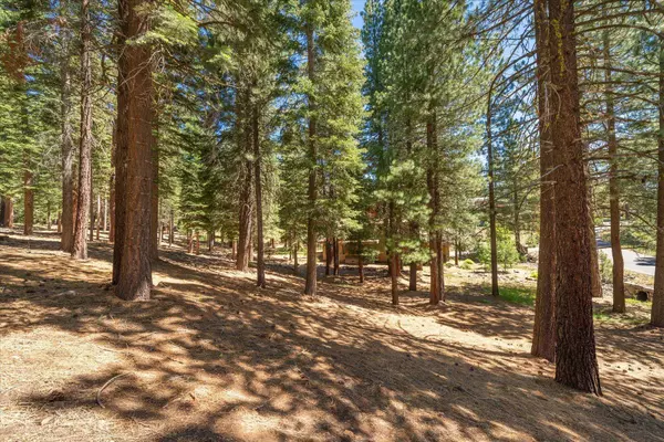11274 China Camp Road, Truckee, CA 96161