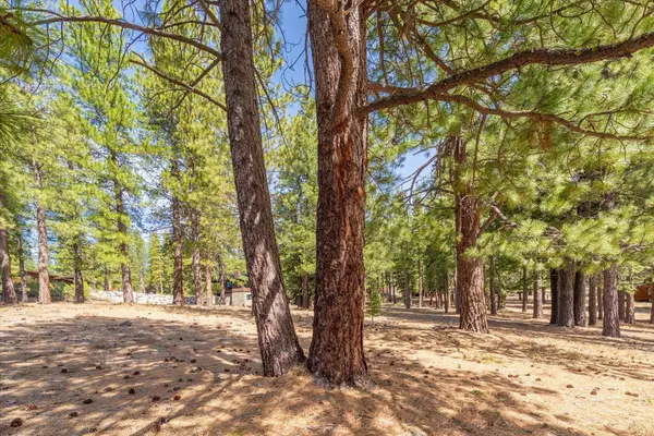 11422 China Camp Road, Truckee, CA 96161