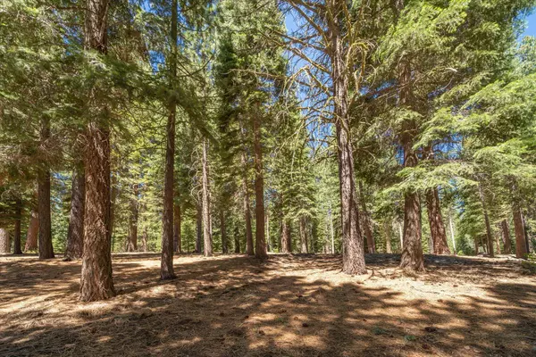 11274 China Camp Road, Truckee, CA 96161