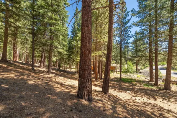 11274 China Camp Road, Truckee, CA 96161