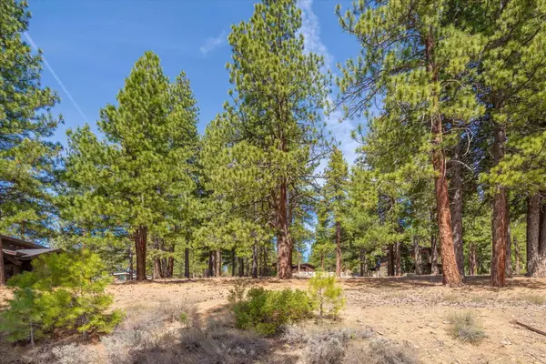 11422 China Camp Road, Truckee, CA 96161
