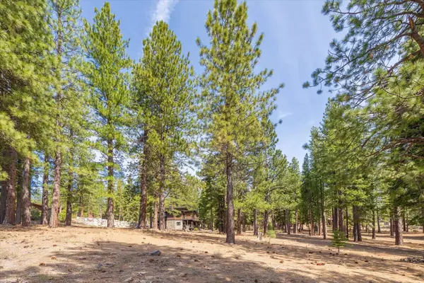 11422 China Camp Road, Truckee, CA 96161