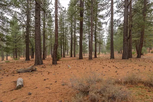 10567 Brickell Court, Truckee, CA 96161