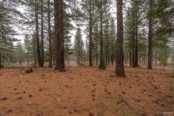 10567 Brickell Court, Truckee, CA 96161