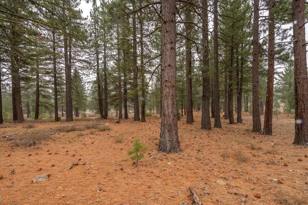 10567 Brickell Court, Truckee, CA 96161