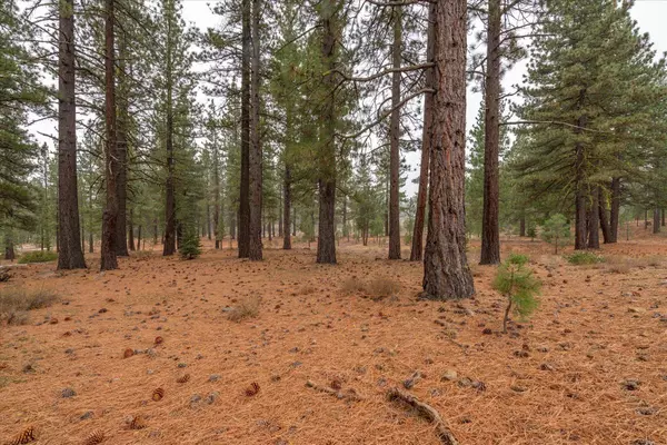 10567 Brickell Court, Truckee, CA 96161