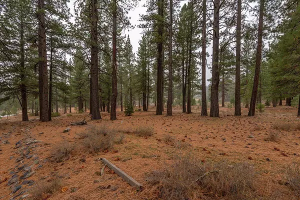 10567 Brickell Court, Truckee, CA 96161