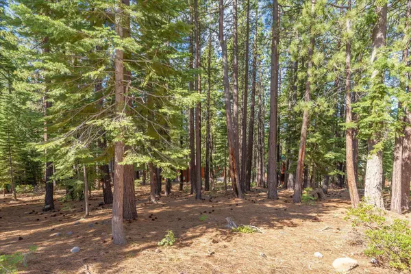 13038 Muhlebach Way, Truckee, CA 96161-6465