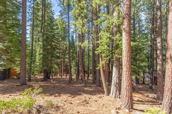 13038 Muhlebach Way, Truckee, CA 96161-6465