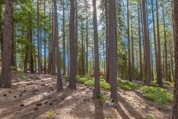 13038 Muhlebach Way, Truckee, CA 96161-6465