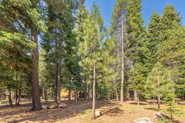 11118 Bolzano Way, Truckee, CA 96161