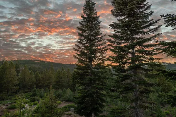 14905 Skislope Way, Truckee, CA 96161