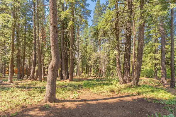 14129 Tyrol Road, Truckee, CA 96161