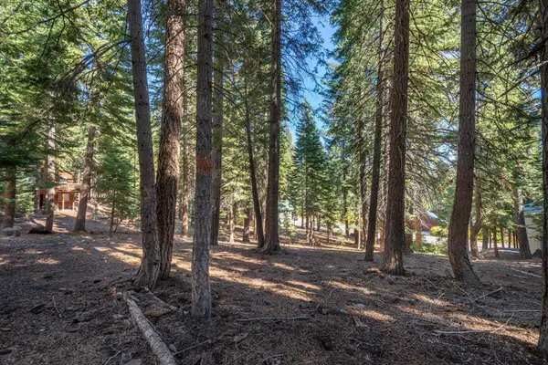 11888 Chamonix Road, Truckee, CA 96161