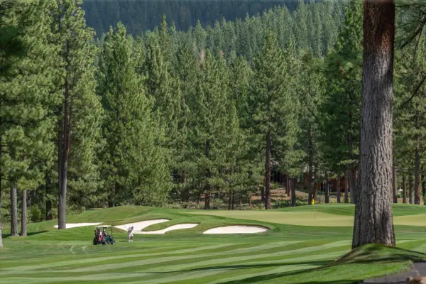 12227 Pete Alvertson Drive, Truckee, CA 96161