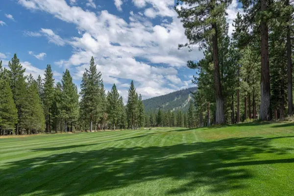 12227 Pete Alvertson Drive, Truckee, CA 96161