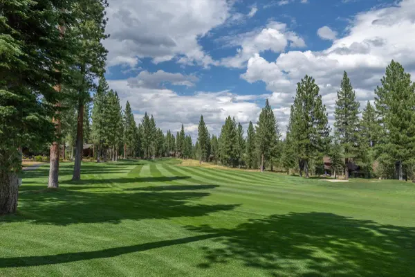 12227 Pete Alvertson Drive, Truckee, CA 96161