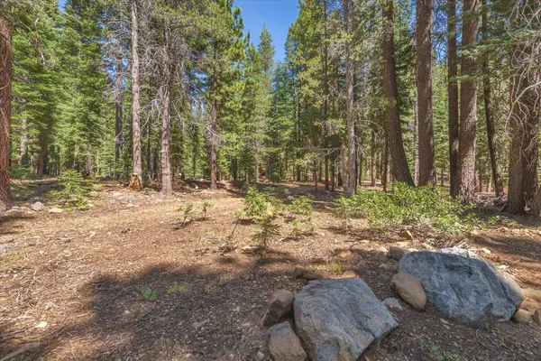 14590 Copenhagen Drive, Truckee, CA 96161