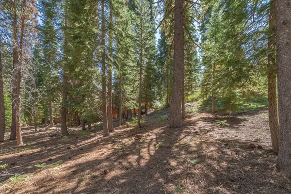 14590 Copenhagen Drive, Truckee, CA 96161