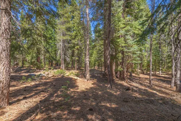 14590 Copenhagen Drive, Truckee, CA 96161