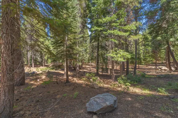 14590 Copenhagen Drive, Truckee, CA 96161