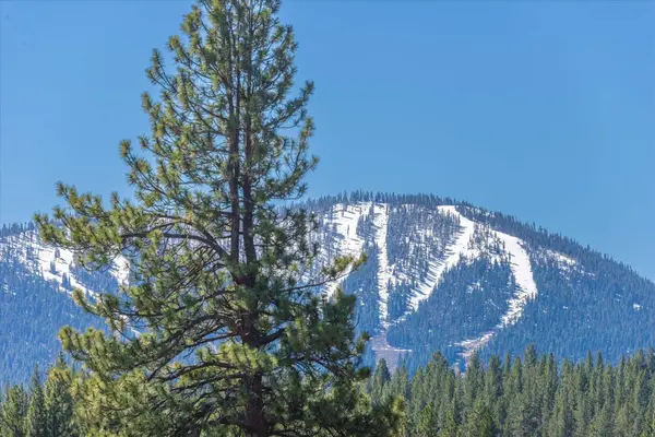 12041 Highland Avenue, Truckee, CA 96161-1718