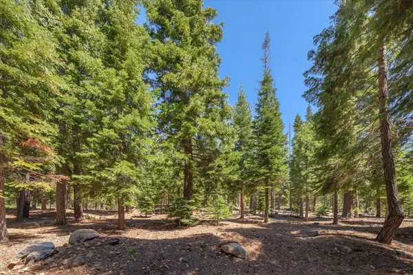 11499 Sitzmark Way, Truckee, CA 96161-0000