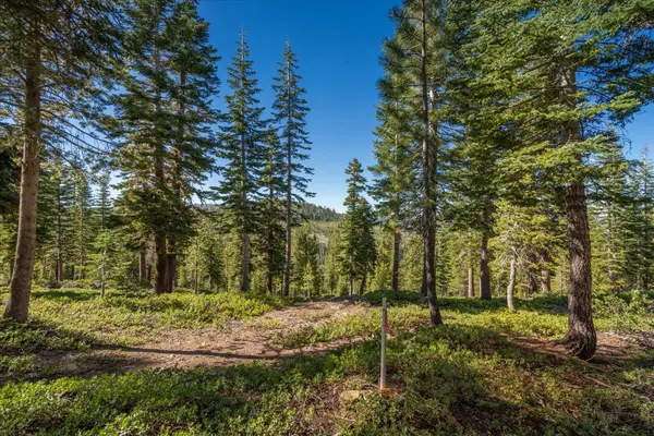 15573 Glacier Way, Truckee, CA 96161-0000