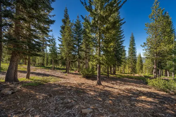 15573 Glacier Way, Truckee, CA 96161-0000