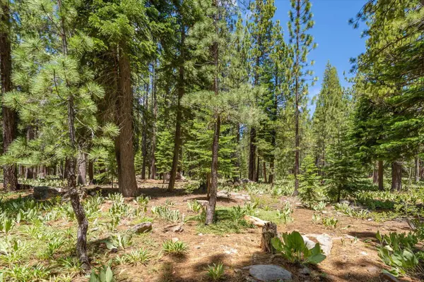 11921 Oslo Drive, Truckee, CA 96161