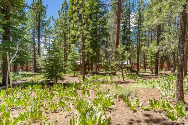 11921 Oslo Drive, Truckee, CA 96161