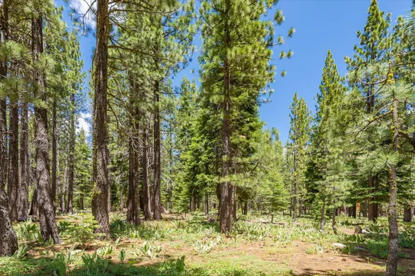 11921 Oslo Drive, Truckee, CA 96161