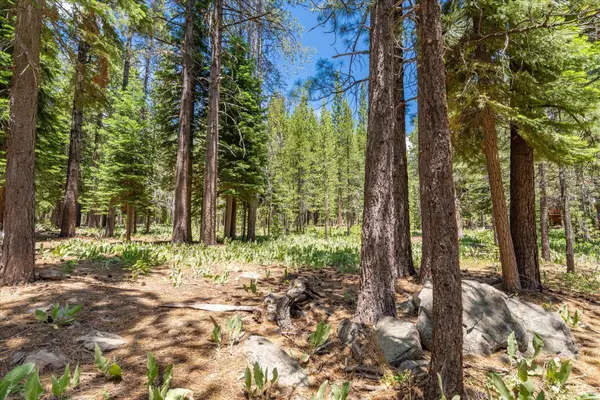 11921 Oslo Drive, Truckee, CA 96161