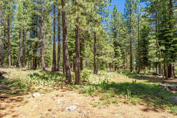 11921 Oslo Drive, Truckee, CA 96161