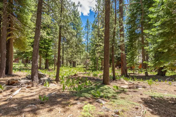 11921 Oslo Drive, Truckee, CA 96161