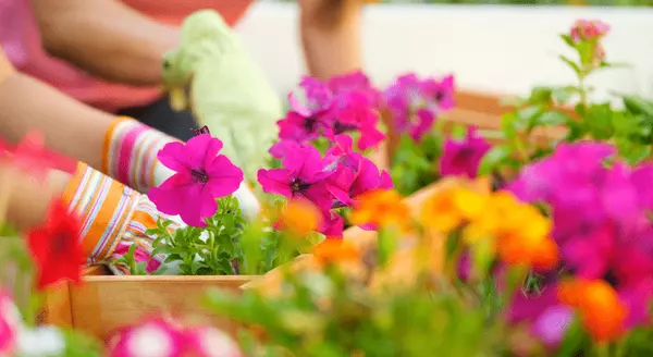 4 Things To Expect from the Spring Housing Market in Connecticut