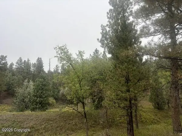 Tbd E Wentworth St, Newcastle, WY 82701