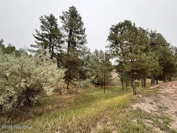 Tbd E Wentworth St, Newcastle, WY 82701