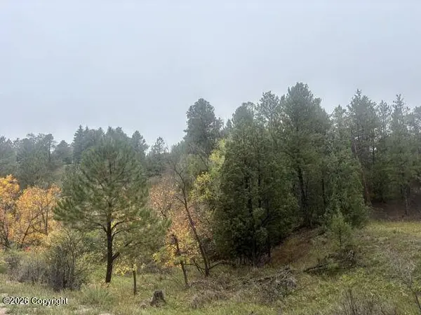 Tbd E Wentworth St, Newcastle, WY 82701
