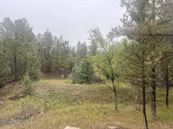 Tbd E Wentworth St, Newcastle, WY 82701