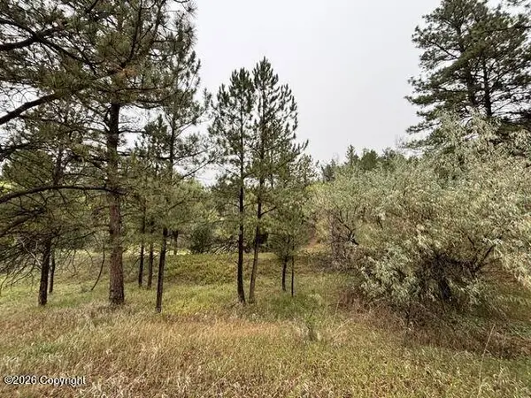 Tbd E Wentworth St, Newcastle, WY 82701
