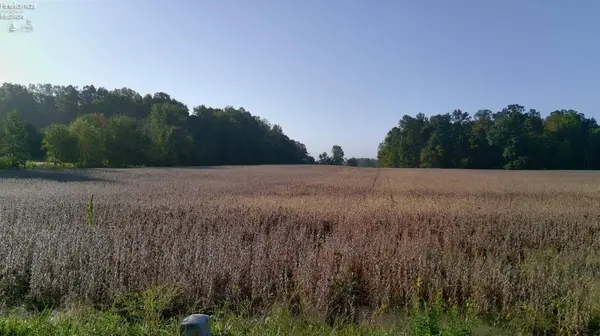 0 Section Line RD, New London, OH 44851