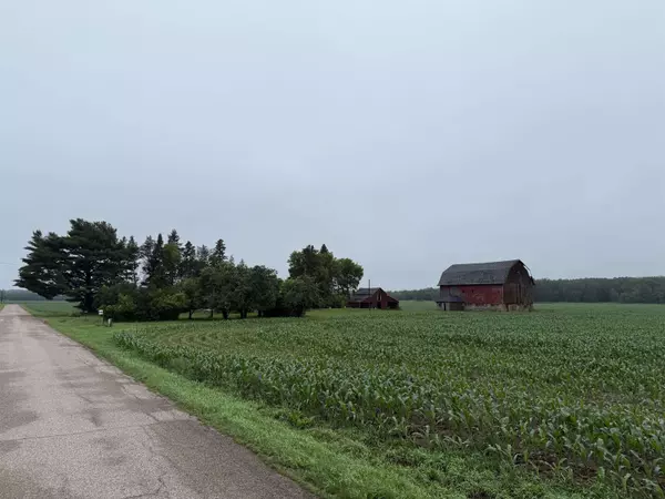 E1384 WOLF RIVER ROAD, Iola, WI 54945