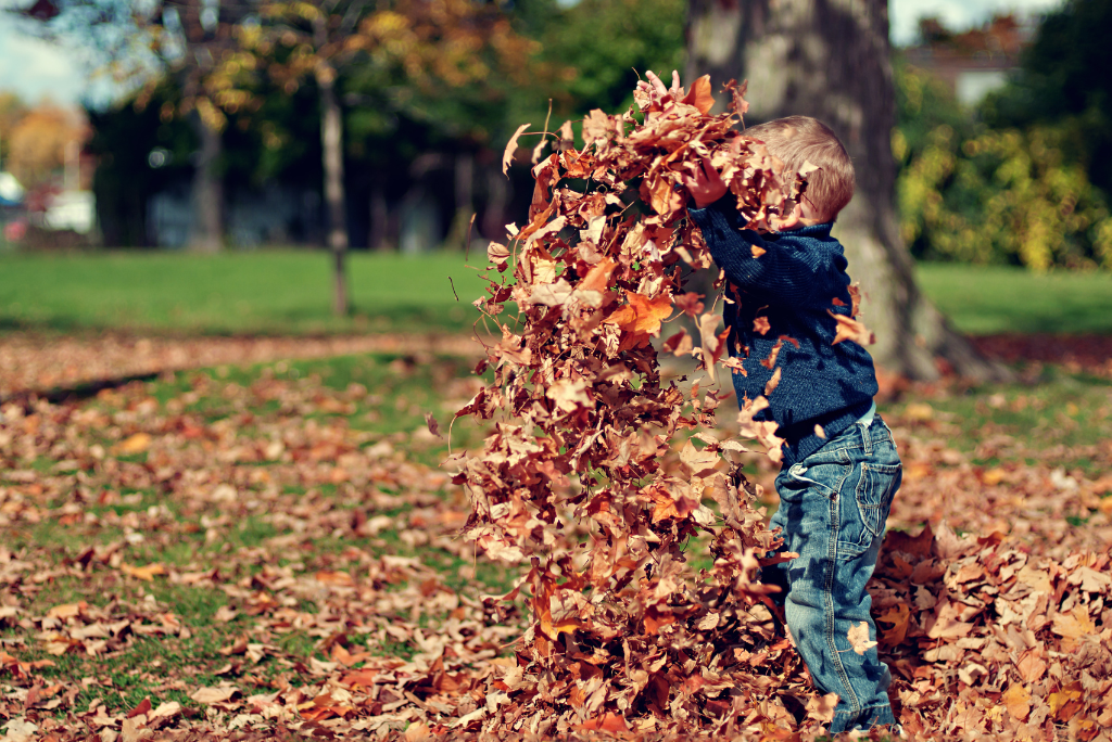Selling Your Home This Fall