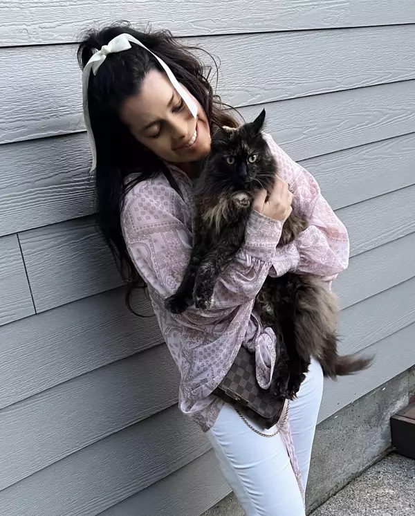 "Lilo Lick", the cat with heart and spirit
