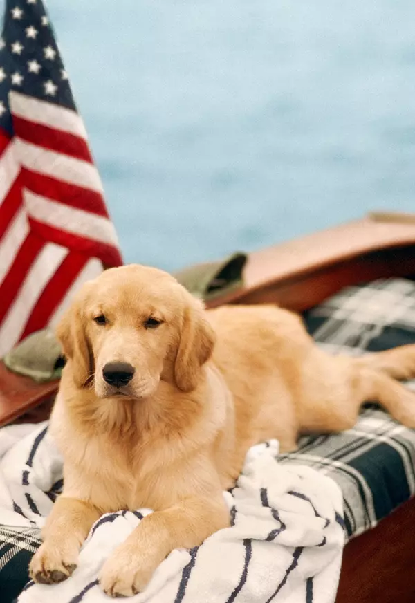 Why Summer Here Feels Like a Love Letter to the PNW, 4th of July
