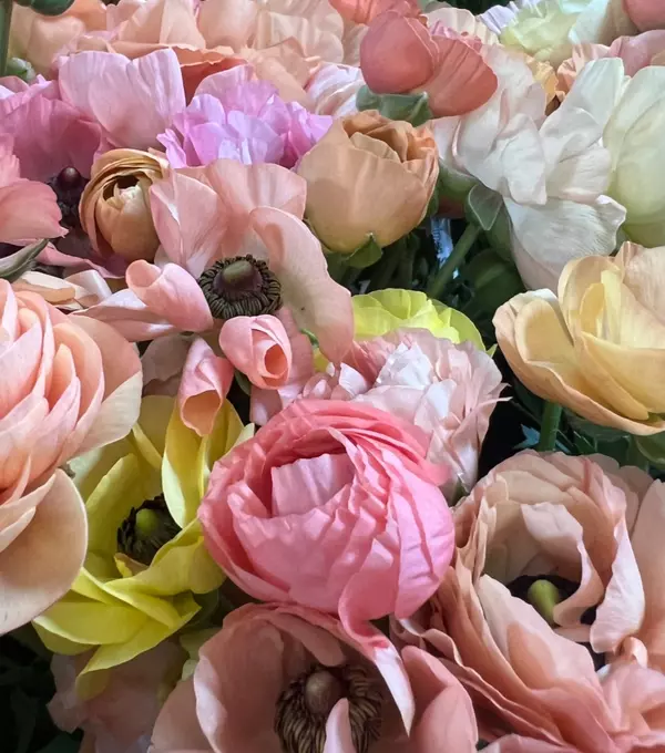 Old West Side Social – May Blooms, June Succulents, and a Splash of July Spirit